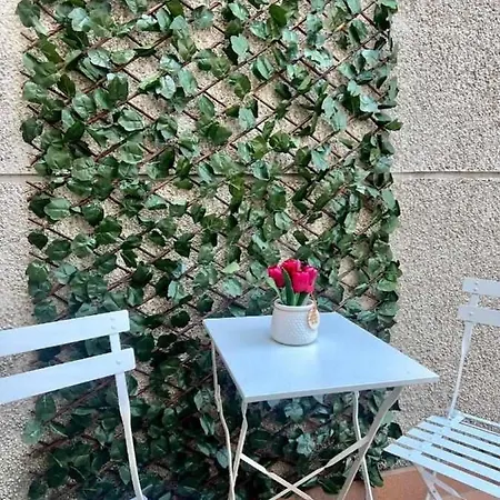 Apartament Almamater *