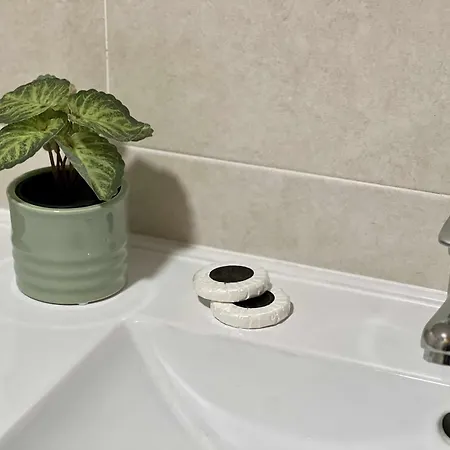 Apartament Almamater *